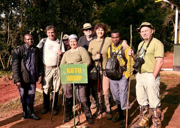 Can I Take Photographs During Gorilla Habituation in Uganda? – Gorilla Uganda journal