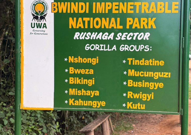 Rushaga Sector of Bwindi Impenetrable National Park – Gorilla Uganda journal