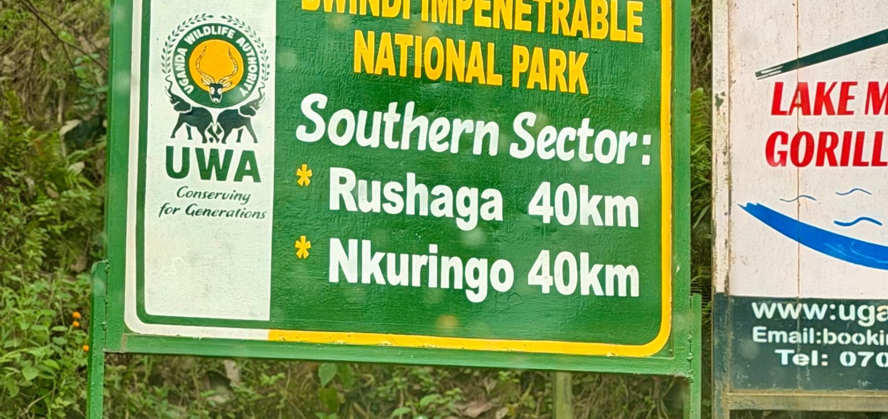 What Makes Rushaga Different from Buhoma, Ruhija, and Nkuringo? – Gorilla Uganda journal