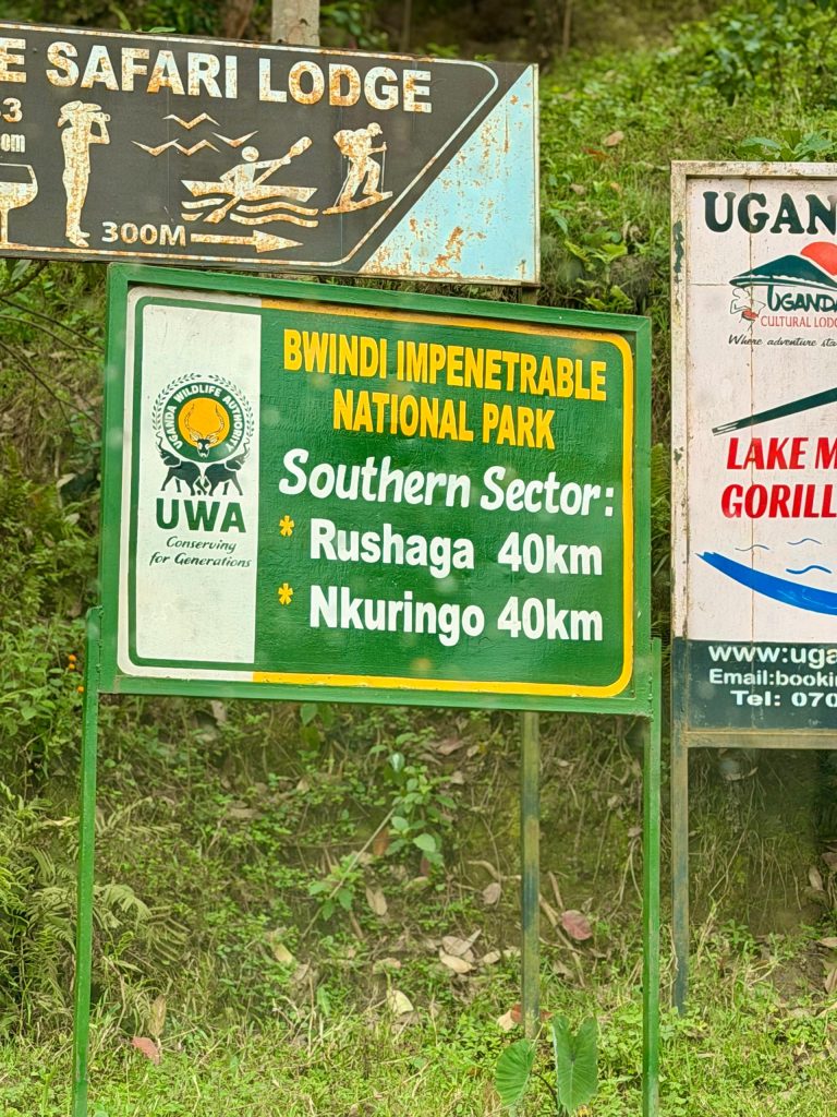 What makes Rushaga different from Buhoma Ruhija and Nkuringo? Compare Bwindi gorilla sectors, access, trekking and safari routes.