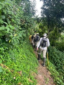 7 Days Rwanda Gorilla Trekking and Uganda Gorilla Habituation
